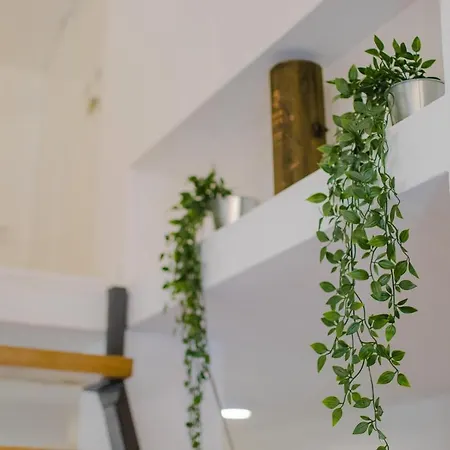 Apartment Aki Malinska
